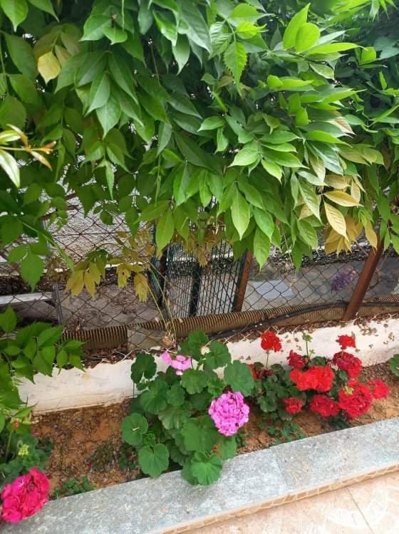 Peaceful House Near Airport Villa Pikermion Luaran gambar