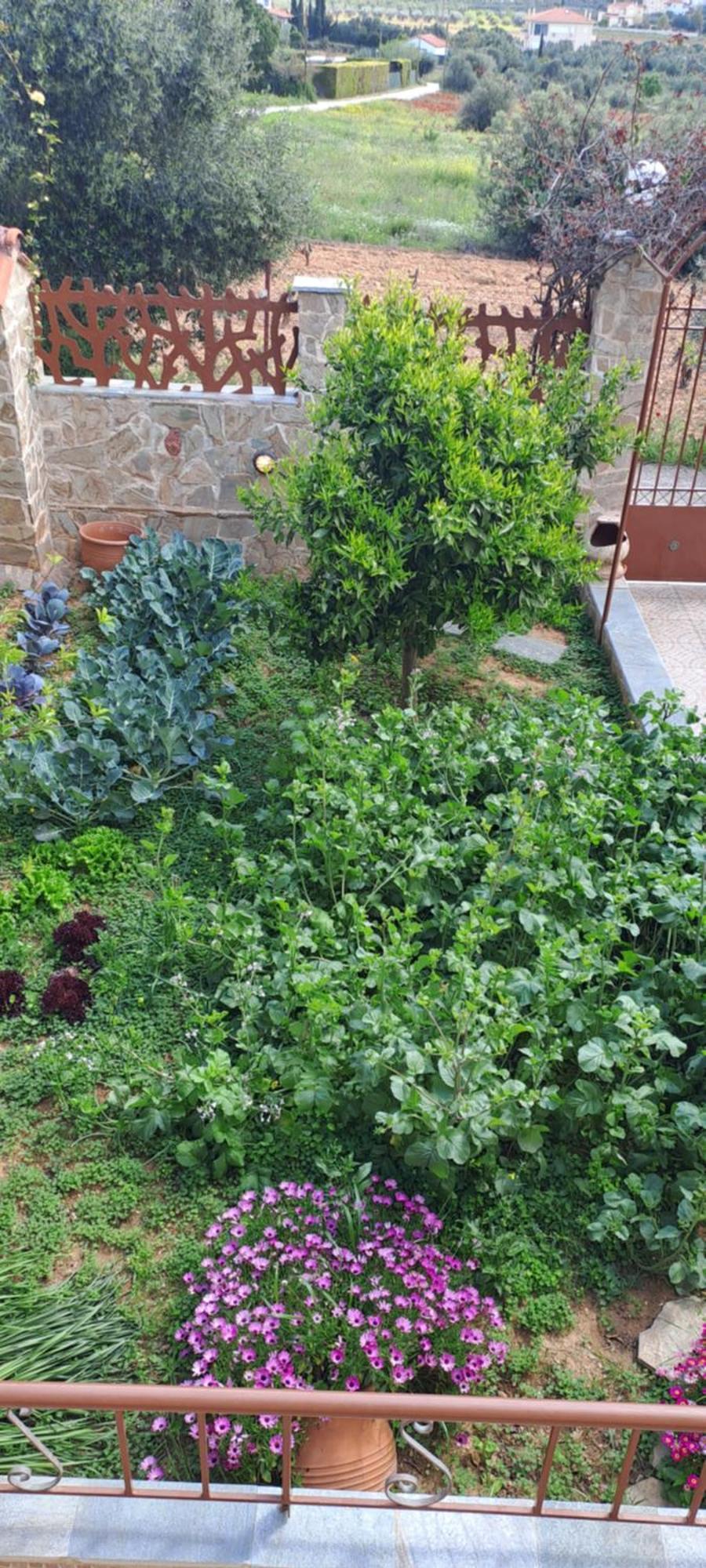 Peaceful House Near Airport Villa Pikermion Luaran gambar