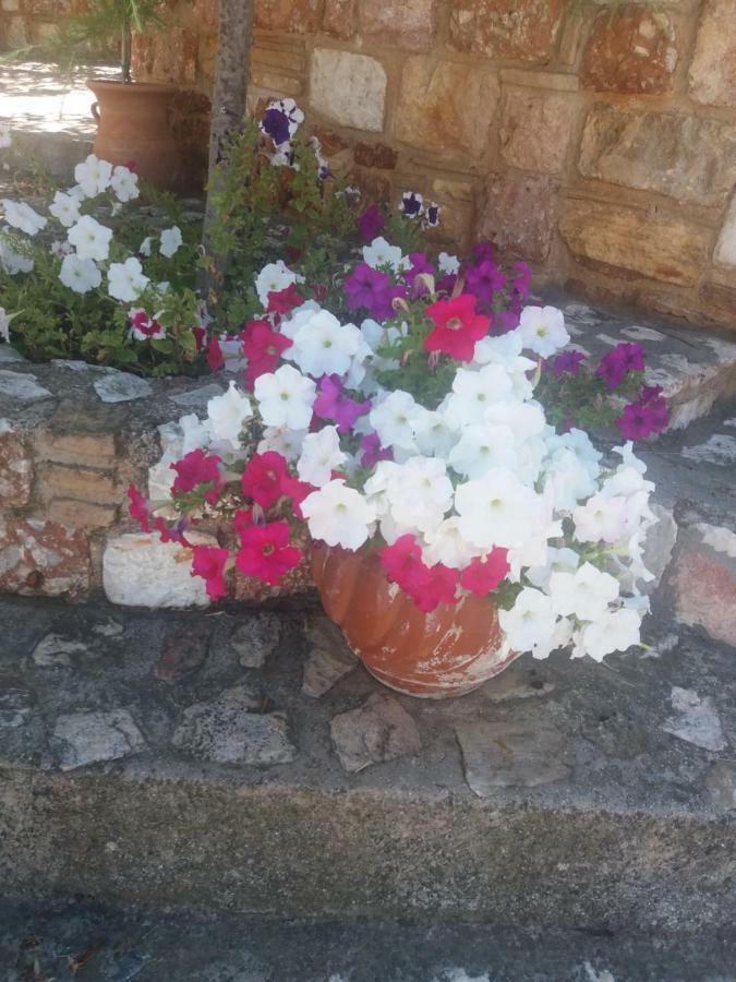 Peaceful House Near Airport Villa Pikermion Luaran gambar